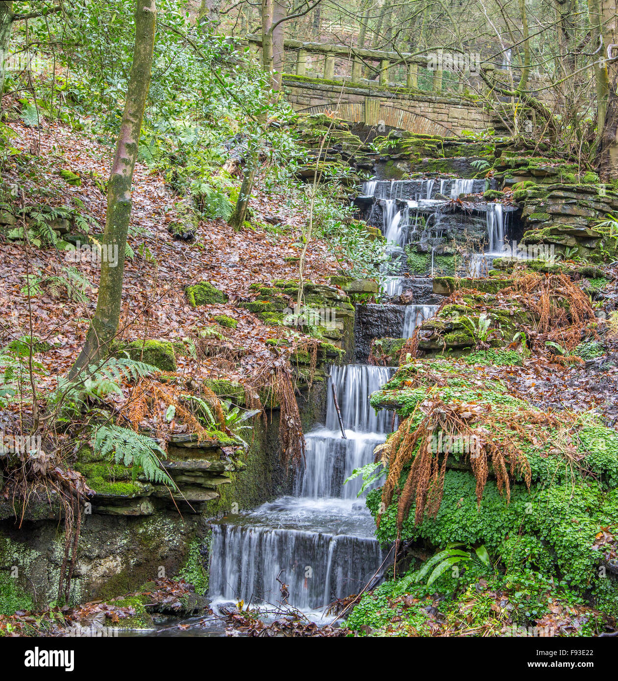 “The Ravine” Rivington Gardens near Chorley, Horwich, Bolton, Adlington