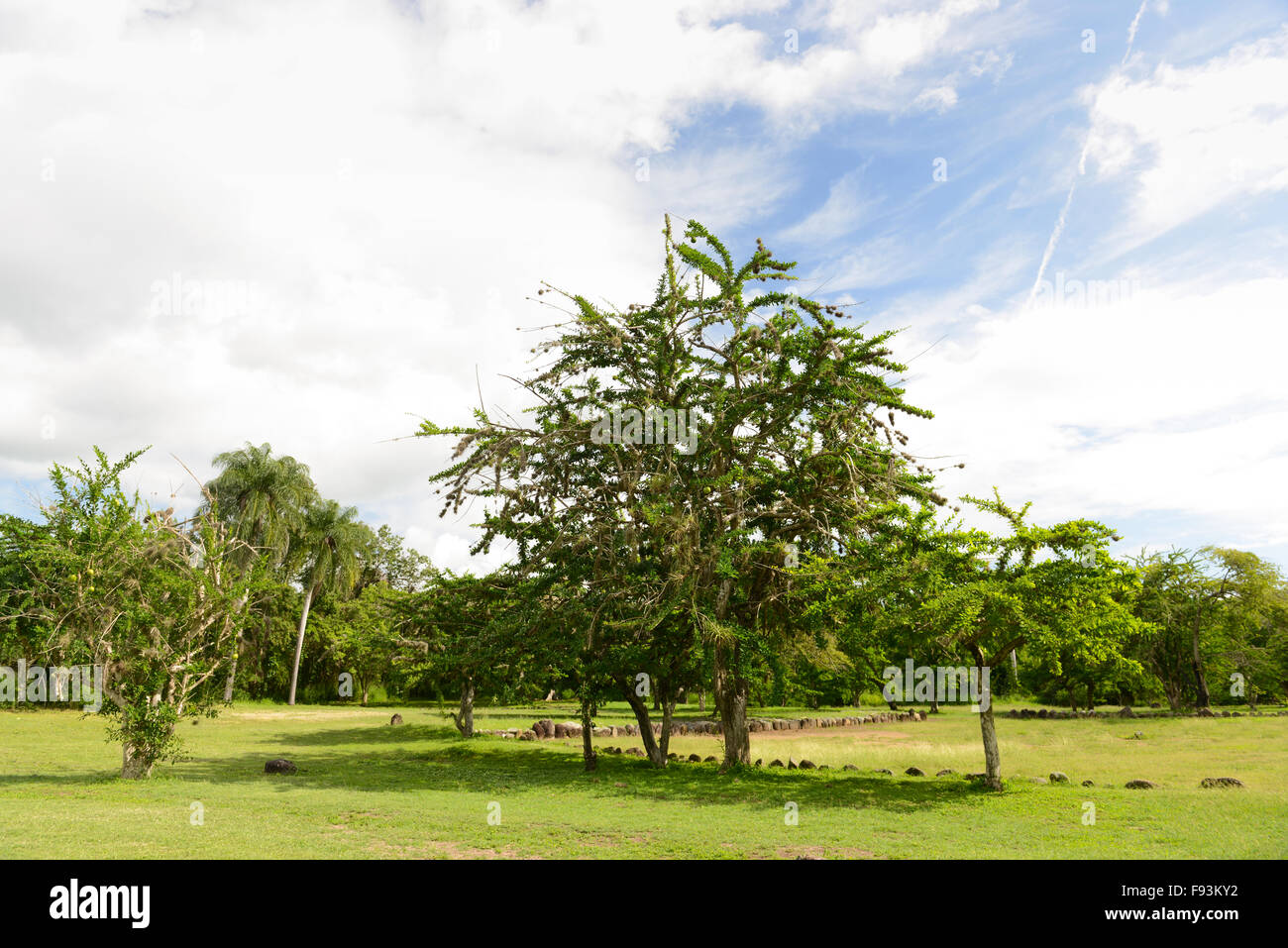 Tibes Indigenous Ceremonial Center. Ponce, Puerto Rico. Caribbean Island. USA territory Stock Photo