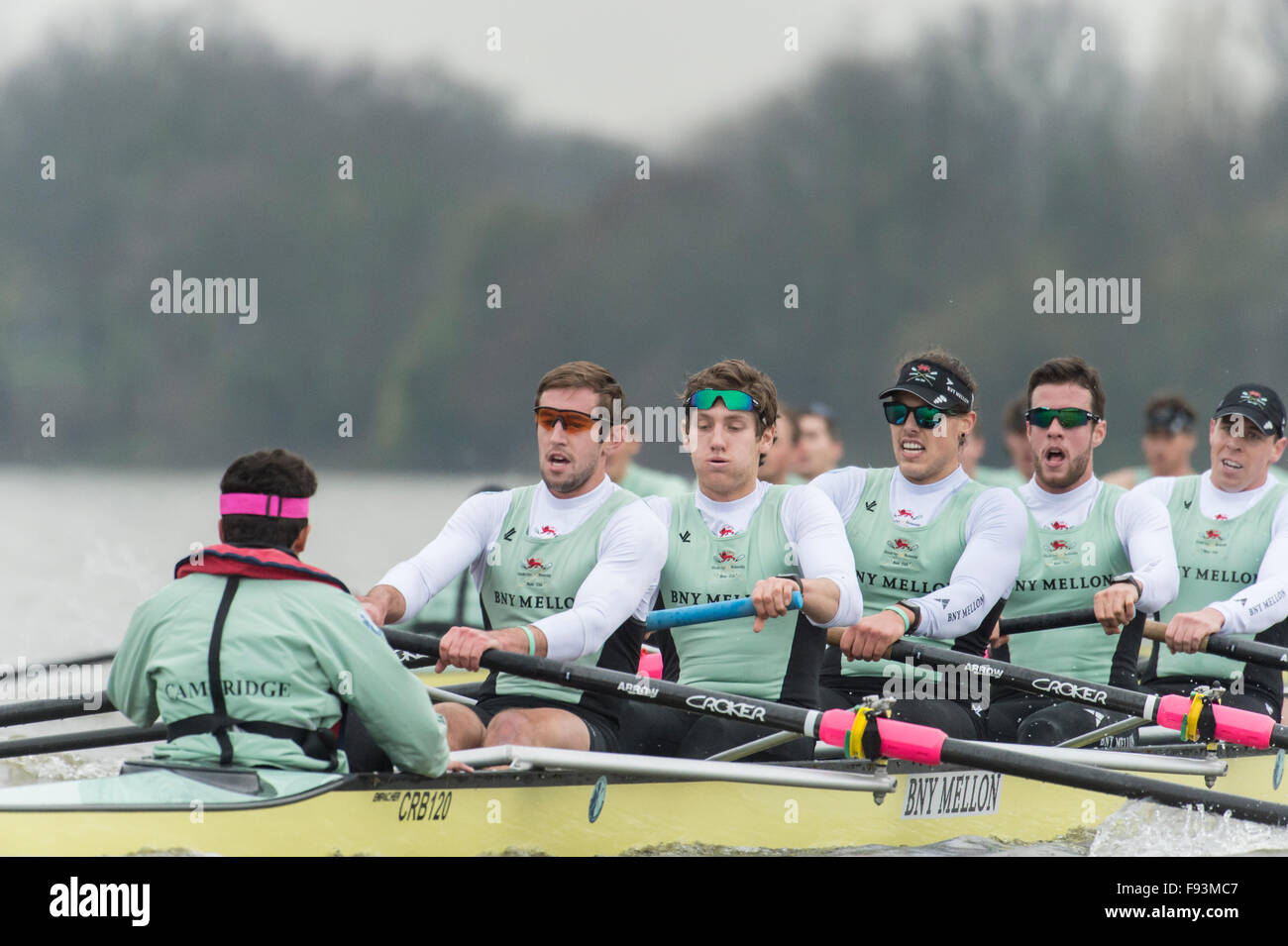 River Thames, UK. 13th December, 2015. Boat Race Trial VIIIs.  Cambridge  University Boat Club. Trial VIIIs serve as an important learning experience and selection test for the sixteen rowers and two coxes chosen. It is the only occasion during the season that the squad members race side-by-side for the entire four and a quarter miles of the Championship Course in a simulation of The BNY Mellon Boat Race. The two Cambridge crews taking to the water have been named ‘”Fuerte” and “Listo”. Credit:  Duncan Grove/Alamy Live News Stock Photo