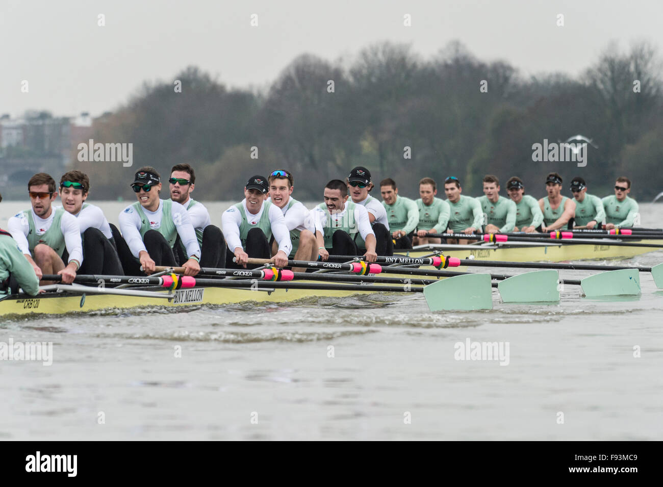 River Thames, UK. 13th December, 2015. Boat Race Trial VIIIs.  Cambridge  University Boat Club. Trial VIIIs serve as an important learning experience and selection test for the sixteen rowers and two coxes chosen. It is the only occasion during the season that the squad members race side-by-side for the entire four and a quarter miles of the Championship Course in a simulation of The BNY Mellon Boat Race. The two Cambridge crews taking to the water have been named ‘”Fuerte” and “Listo”. Credit:  Duncan Grove/Alamy Live News Stock Photo