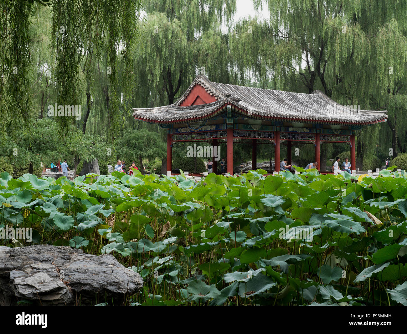 Im RiTan-Park in Peking, China, Asien inside Ri Tan Park, Beijing, China, Asia Stock Photo