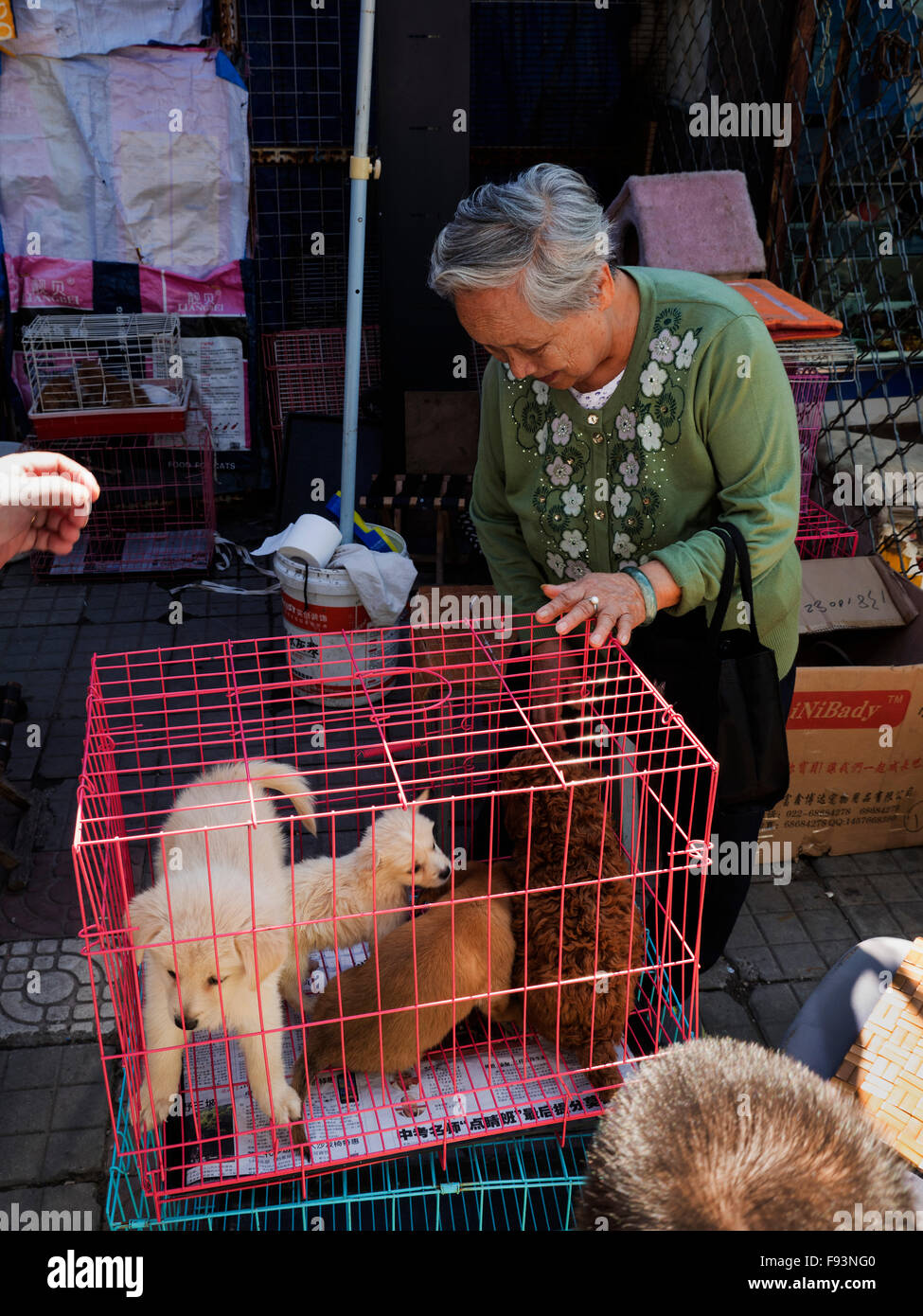 Dog market beijing hires stock photography and images Alamy
