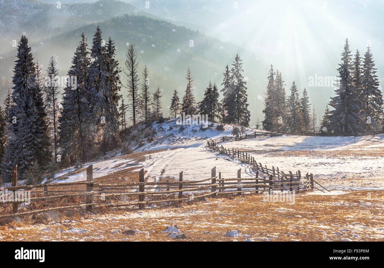 Beautiful winter landscape with snow covered trees Stock Photo - Alamy
