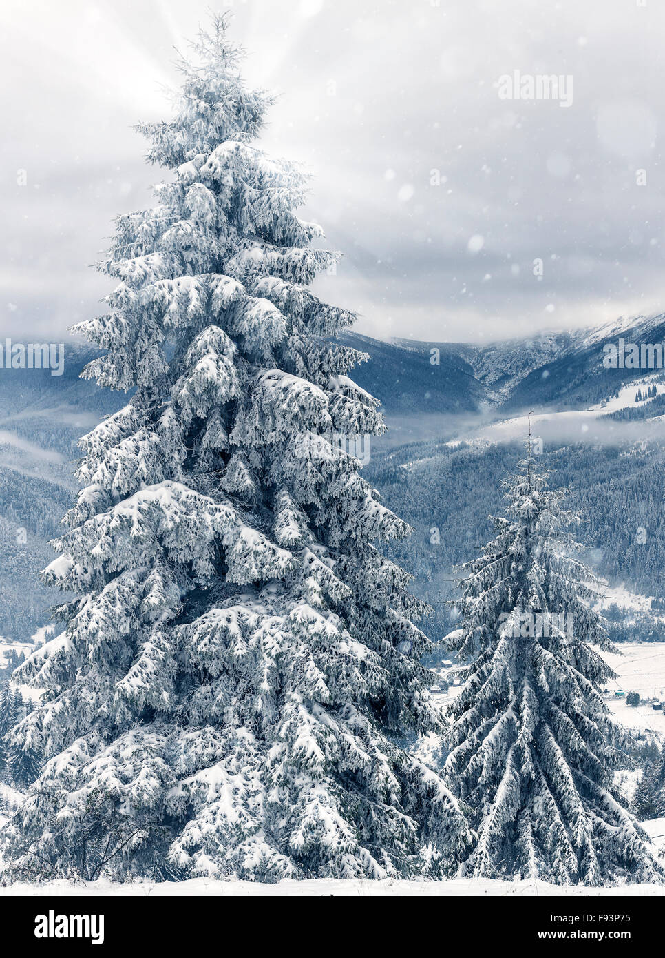 Beautiful winter landscape with snow covered trees Stock Photo - Alamy