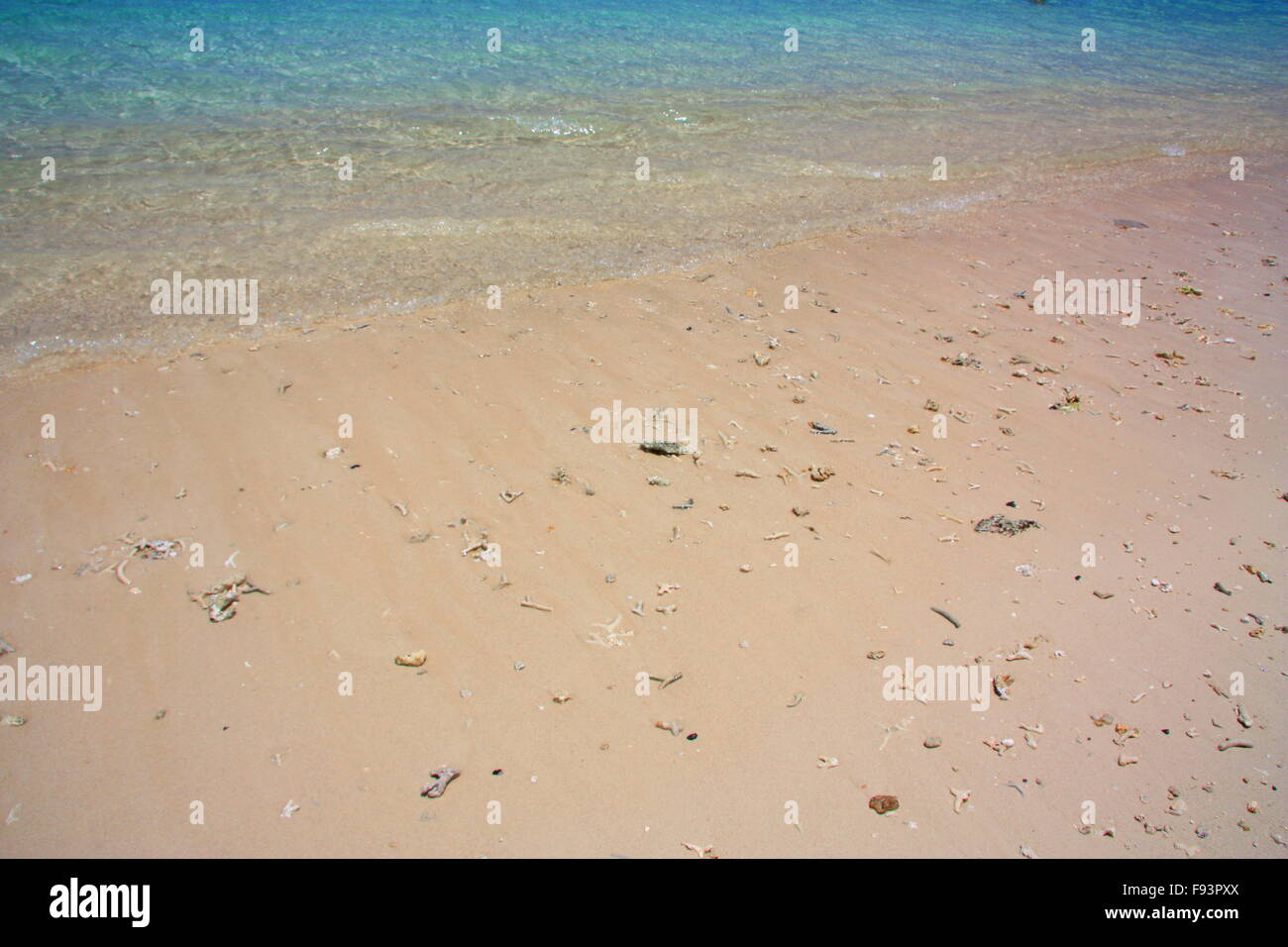 The edge of the water and wet the sand. On the sand, scattered fragments of coral and shells. Mauritius, Indian Ocean Stock Photo