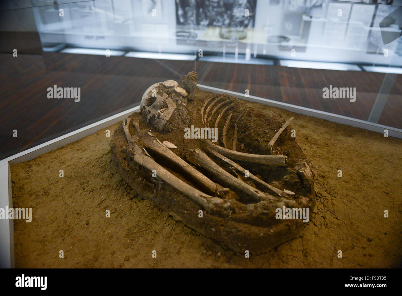 Human remains at the Museum of indigenous Cultures. Ponce, Puerto Rico. Caribbean Island. USA territory Stock Photo