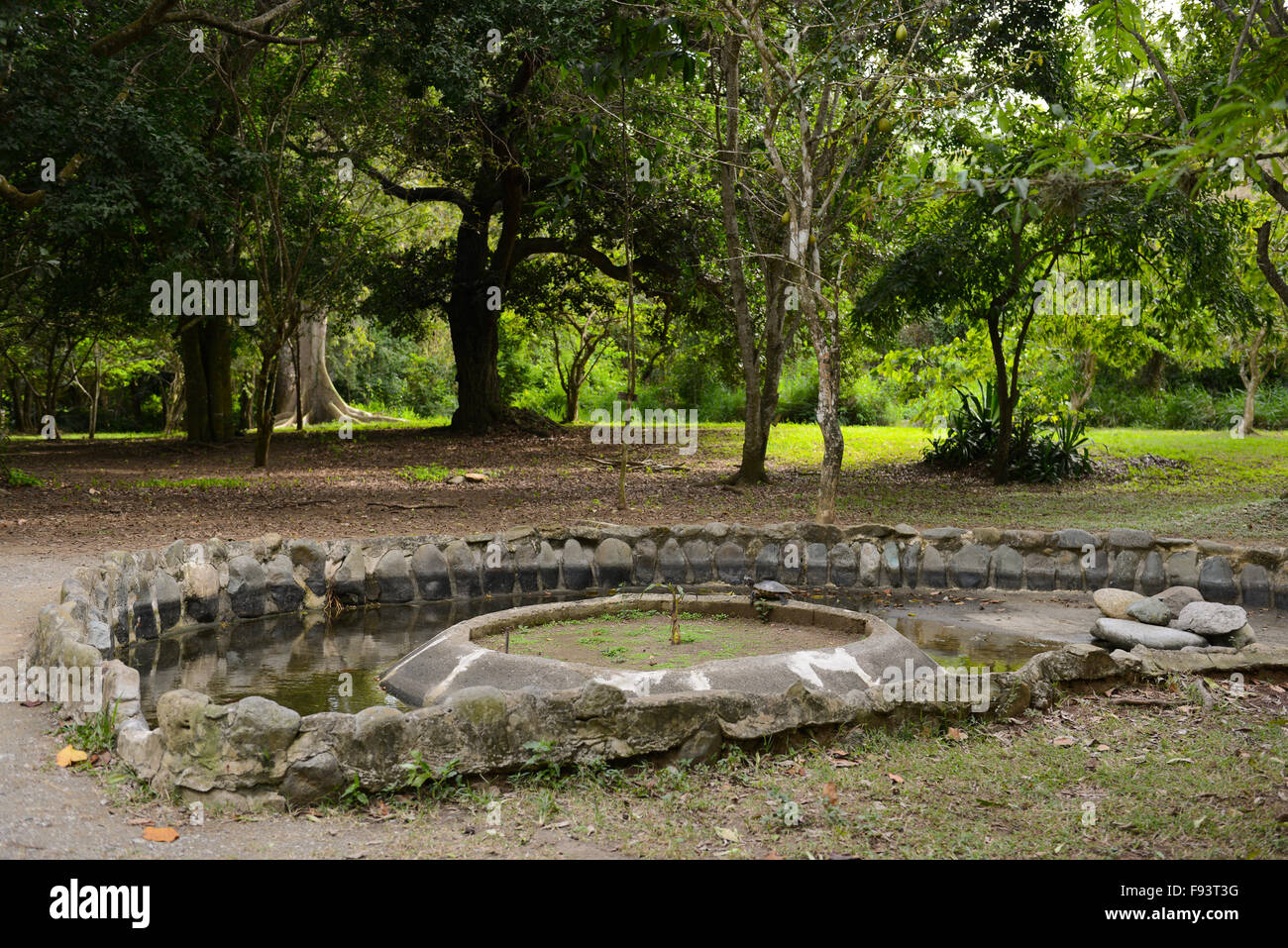 Tibes Indigenous Ceremonial Center. Ponce, Puerto Rico. Caribbean Island. USA territory Stock Photo