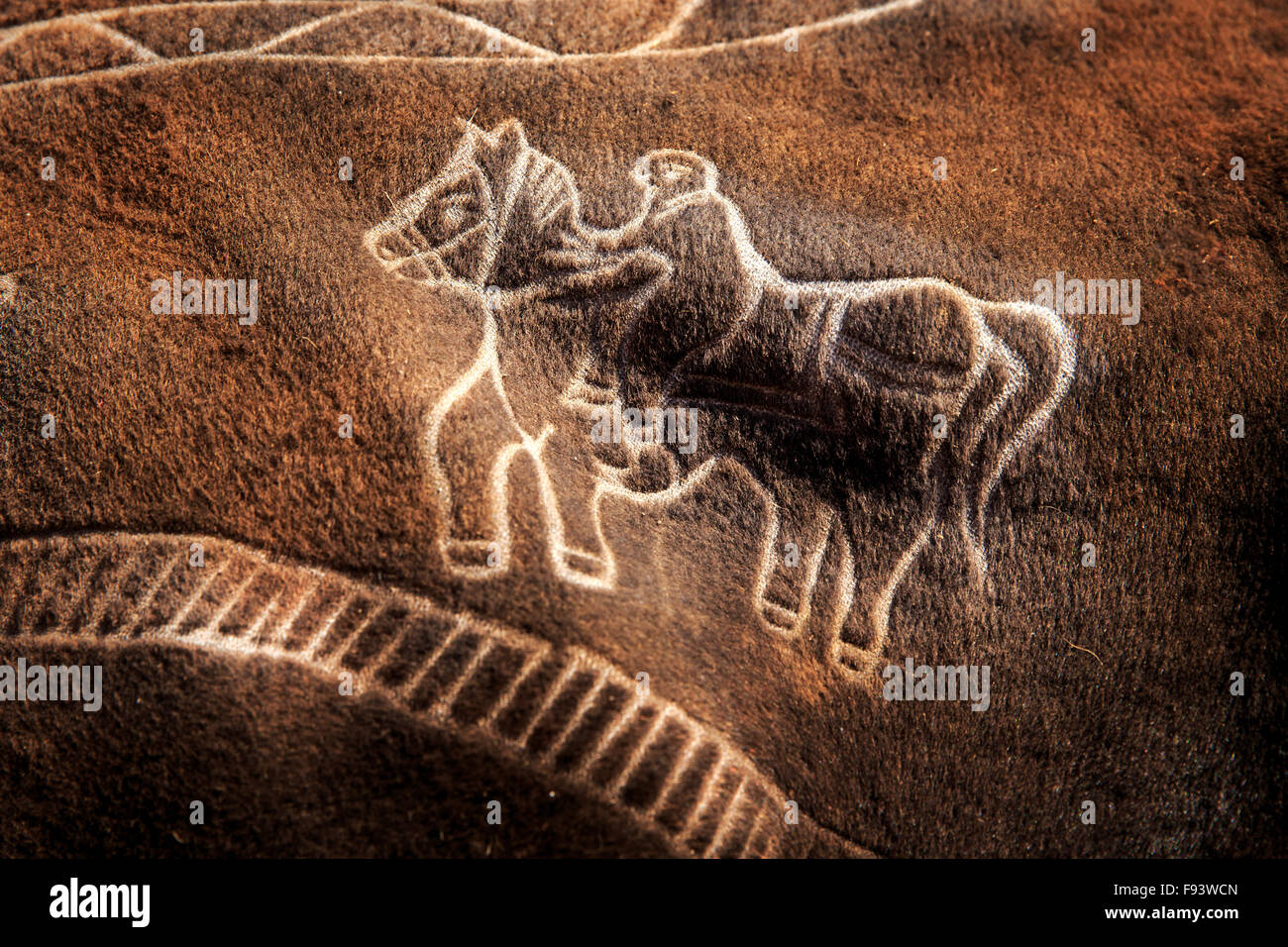 Close up of skin decorated camel, Pushkar Camel Festival. Rajasthan. India Stock Photo