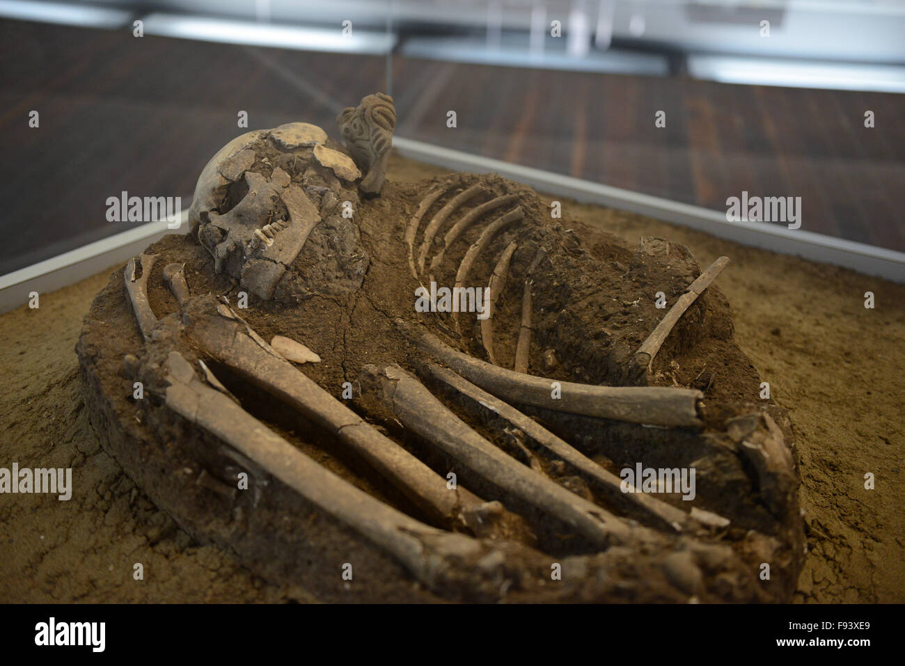 Human remains at the Museum of indigenous Cultures. Ponce, Puerto Rico. Caribbean Island. USA territory Stock Photo