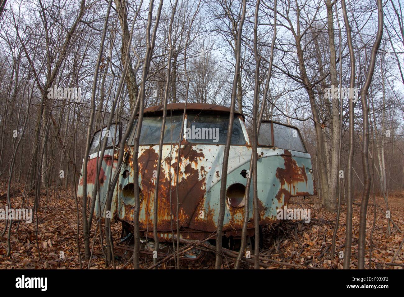 A decaying VW bus sits in the middle of the Pennsylvania forest. Stock Photo