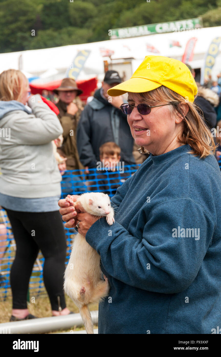 A woman with a white ferret at Holkham Country Fair. Stock Photo