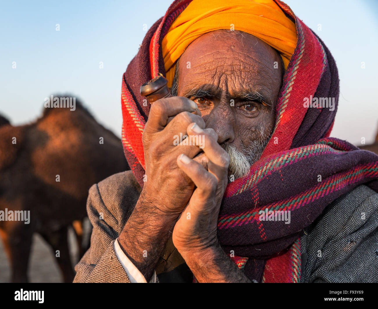 Elderly Rajasthani man with an turban smoking a hash pipe, Pushkar, Rajasthan, India Stock Photo
