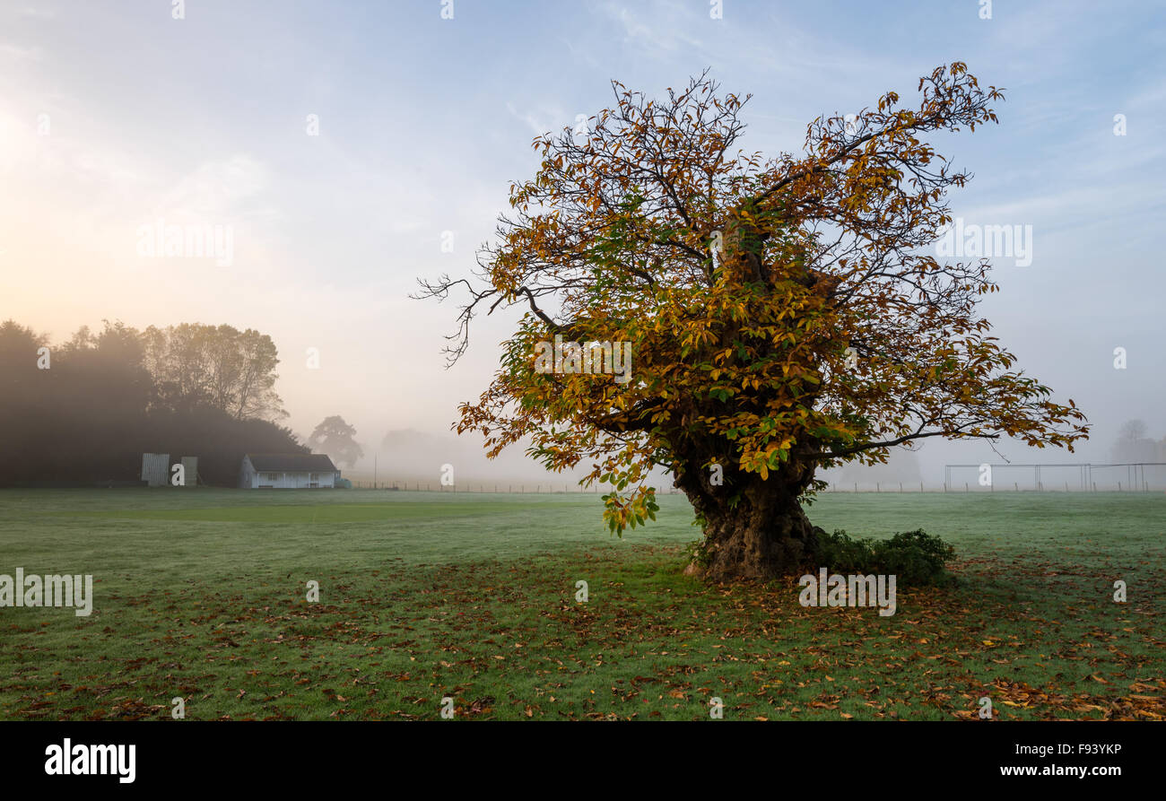 Street End Cricket Club near Canterbury, Kent on a misty Autumnal morning. Stock Photo