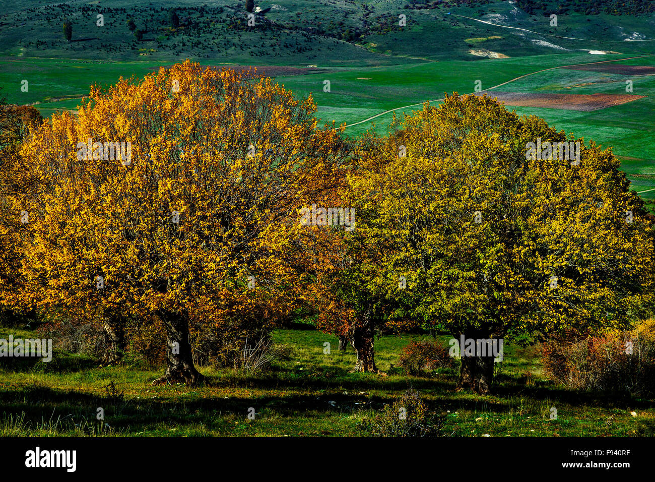 Jahan nama hires stock photography and images Alamy