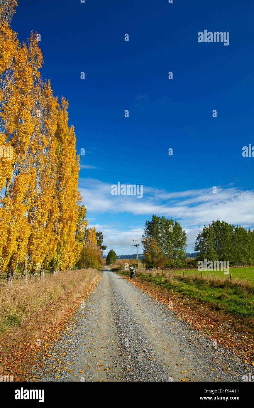 Autumn new zealand hires stock photography and images Alamy
