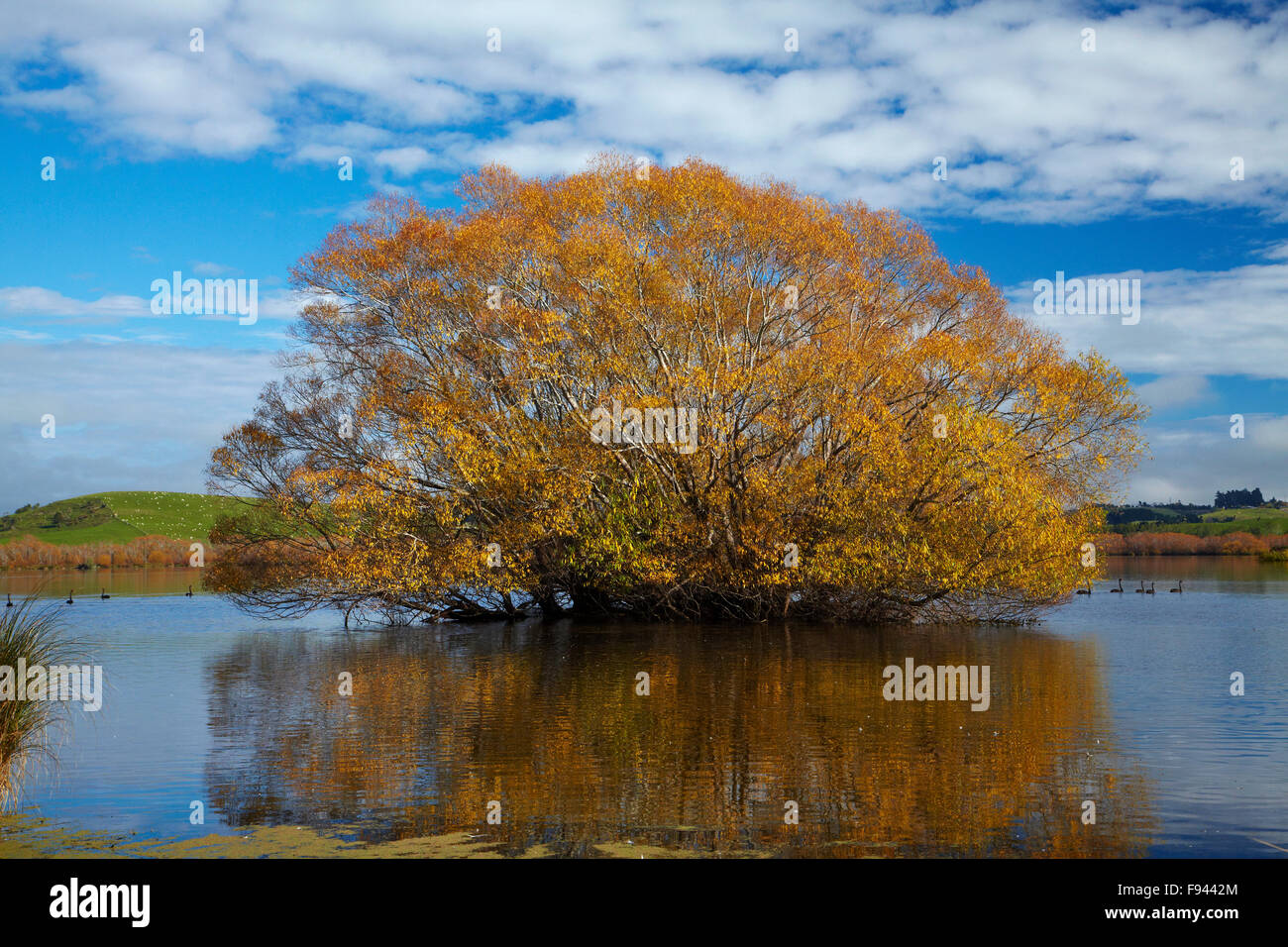 Lake tuakitoto hi-res stock photography and images - Alamy