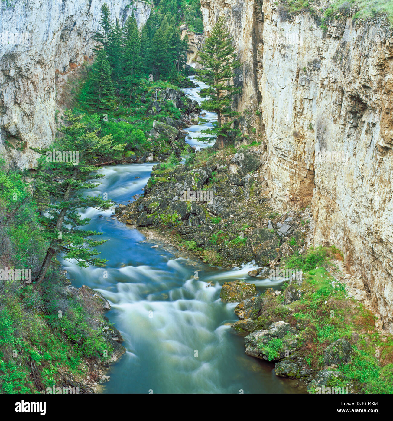 canyon below boulder river falls near big timber, montana Stock Photo
