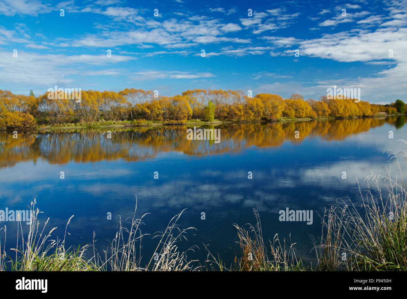 Autumn colour and Clutha River at Kaitangata, near Balclutha, South Otago, South Island, New Zealand Stock Photo