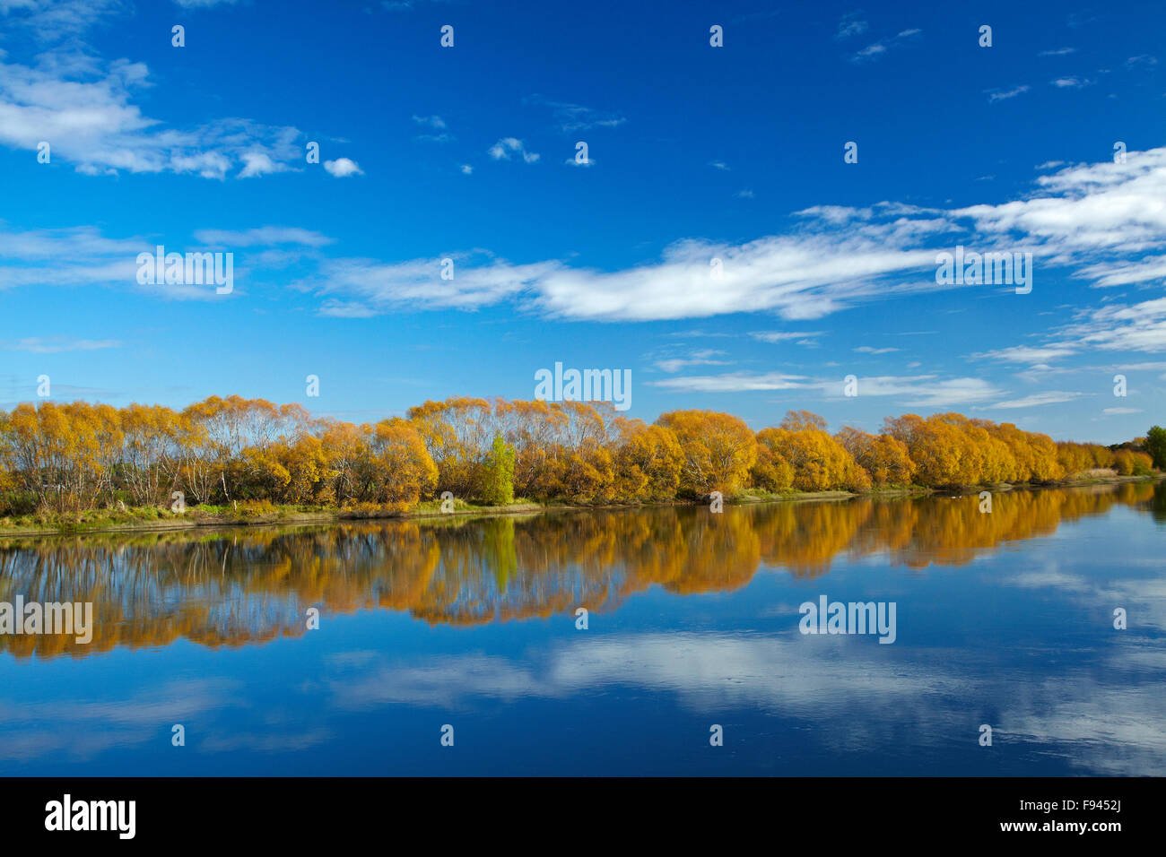 Autumn colour and Clutha River at Kaitangata, near Balclutha, South Otago, South Island, New Zealand Stock Photo