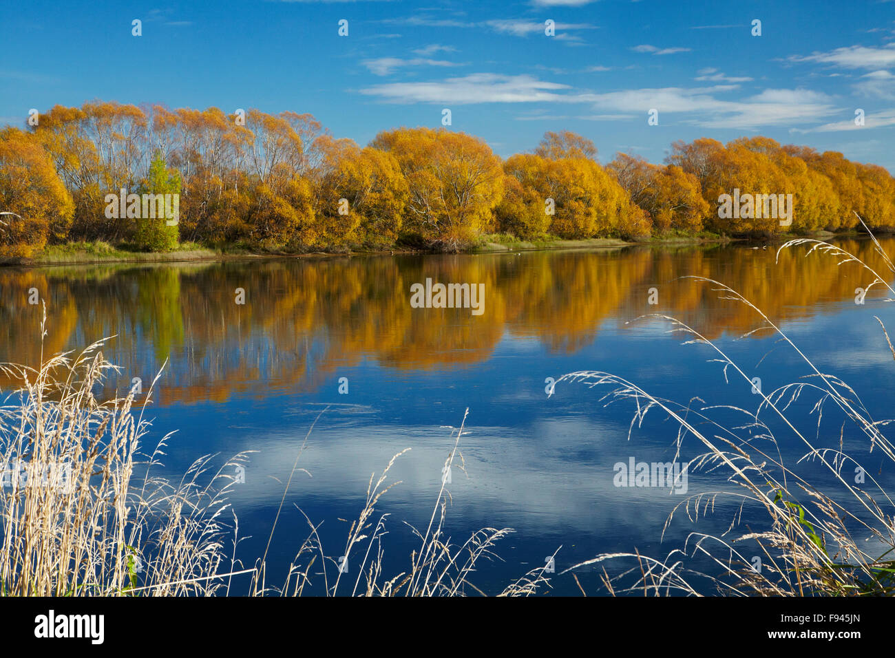 Autumn colour and Clutha River at Kaitangata, near Balclutha, South Otago, South Island, New Zealand Stock Photo