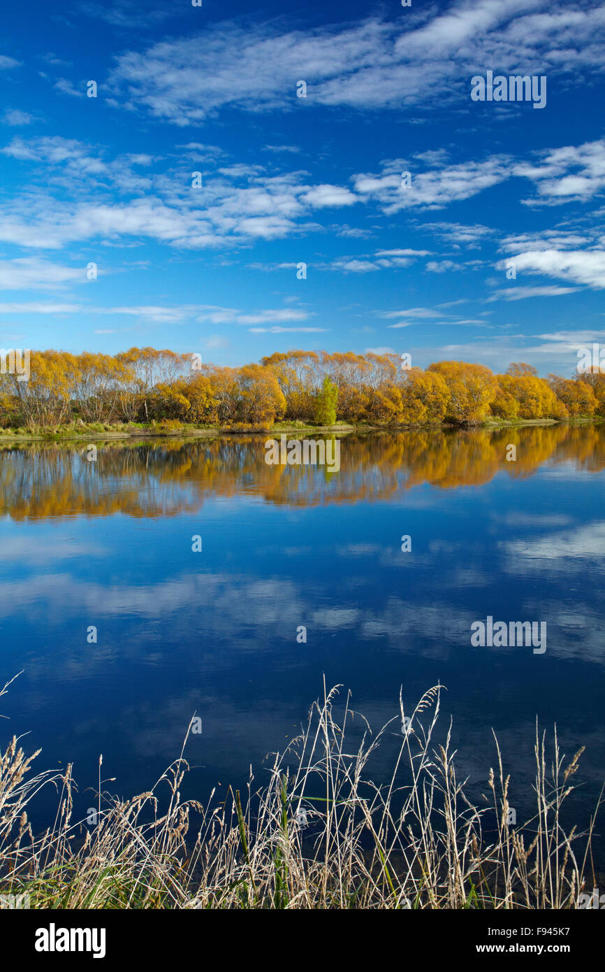 Autumn colour and Clutha River at Kaitangata, near Balclutha, South Otago, South Island, New Zealand Stock Photo