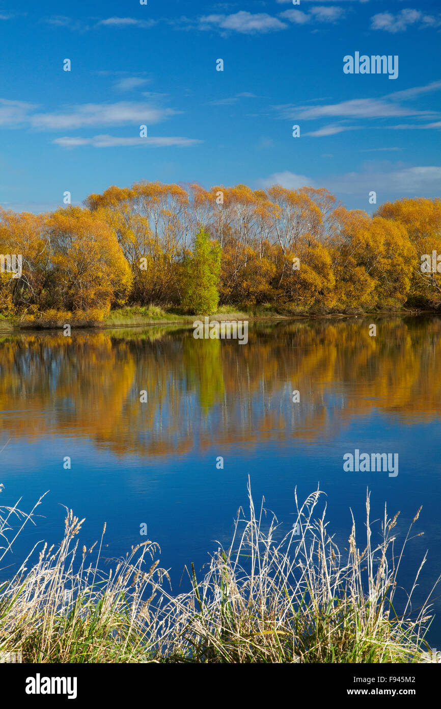 Autumn colour and Clutha River at Kaitangata, near Balclutha, South Otago, South Island, New Zealand Stock Photo