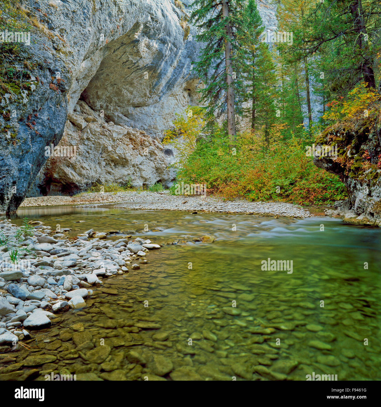 early autumn along the middle fork judith river in a canyon of the