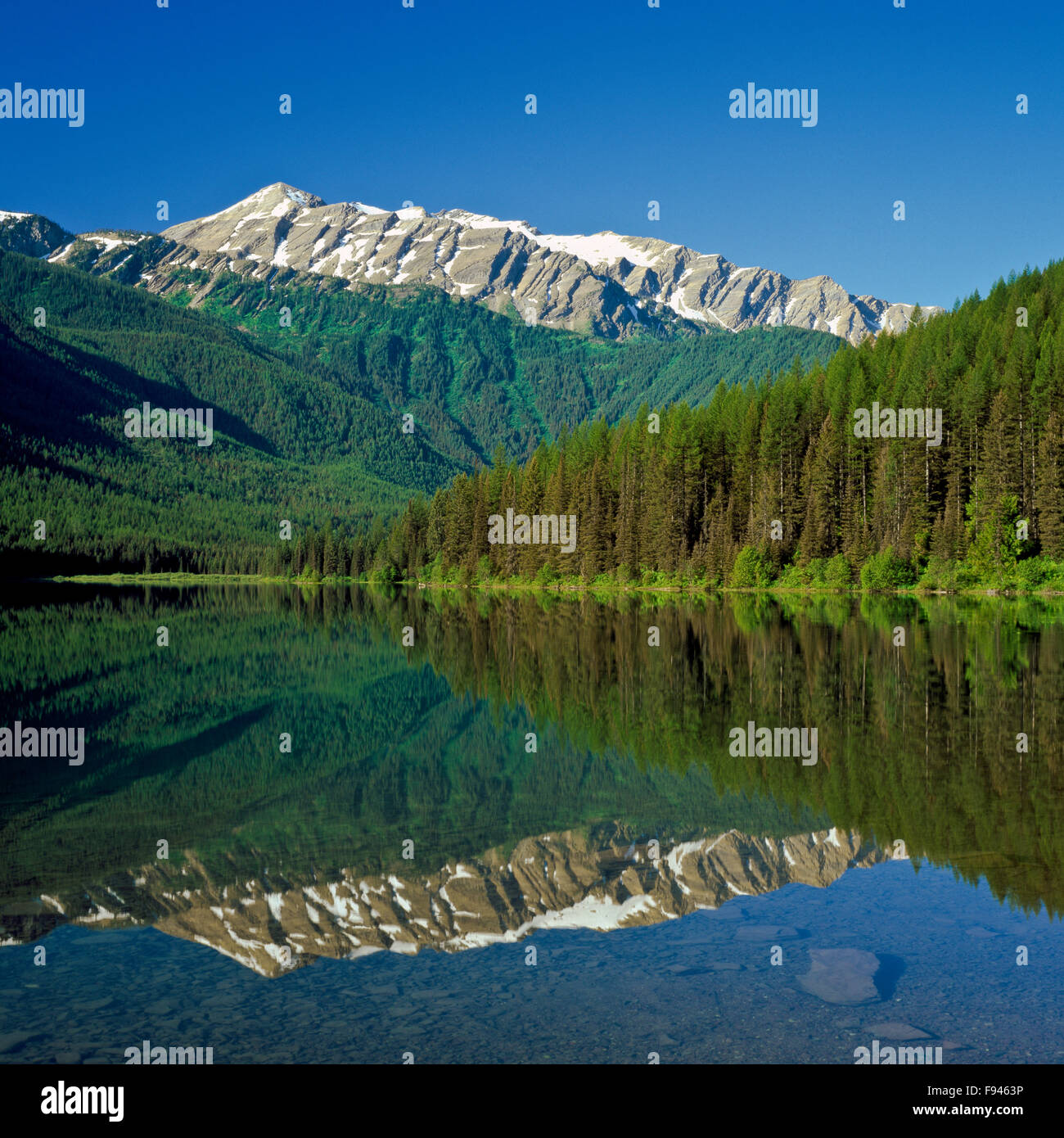 great northern mountain reflected in stanton lake in the great bear wilderness near essex, montana Stock Photo