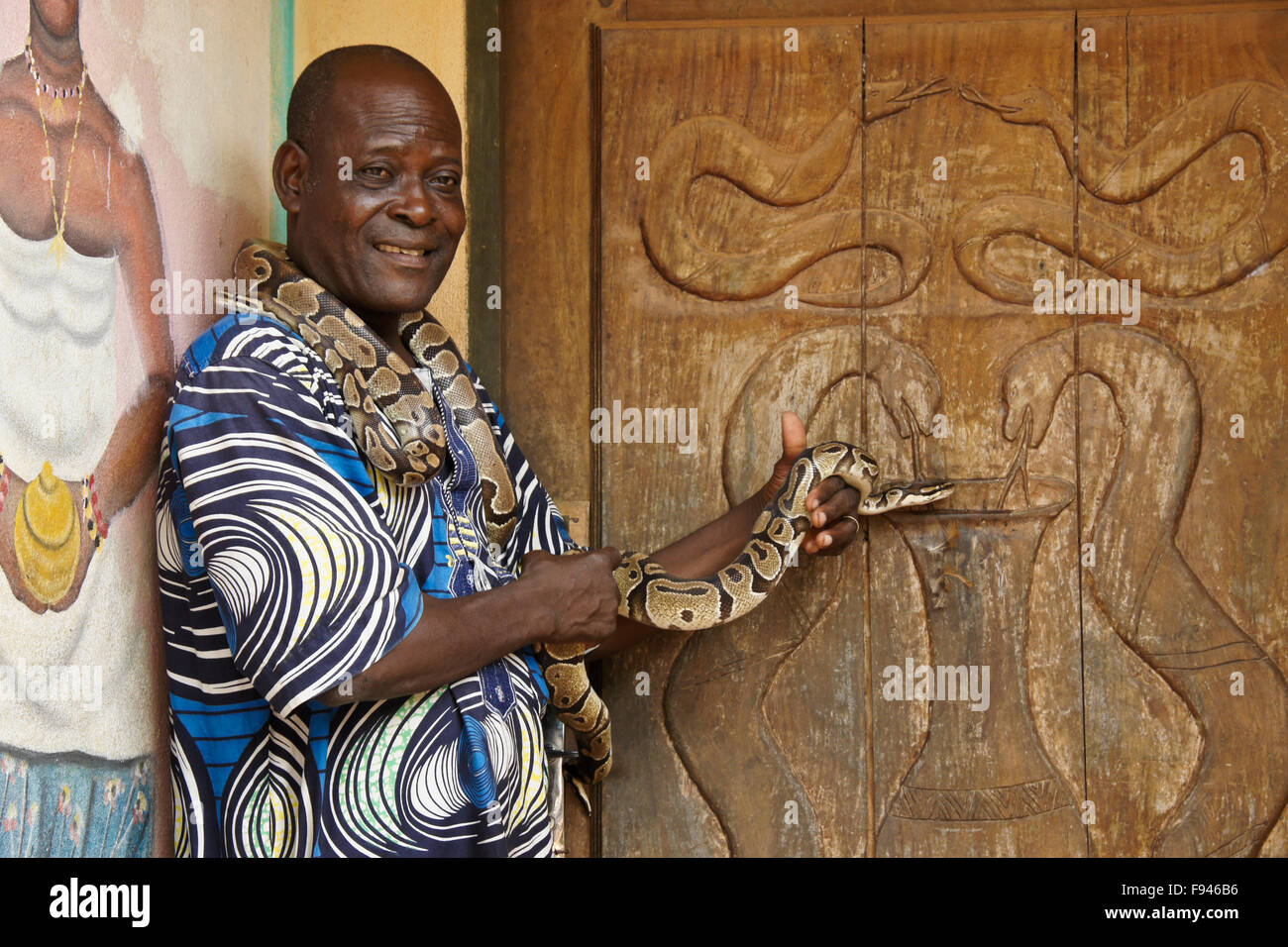 Vodun (voodoo) priest with Royal Sheba pythons, Python Temple, Ouidah, Benin Stock Photo
