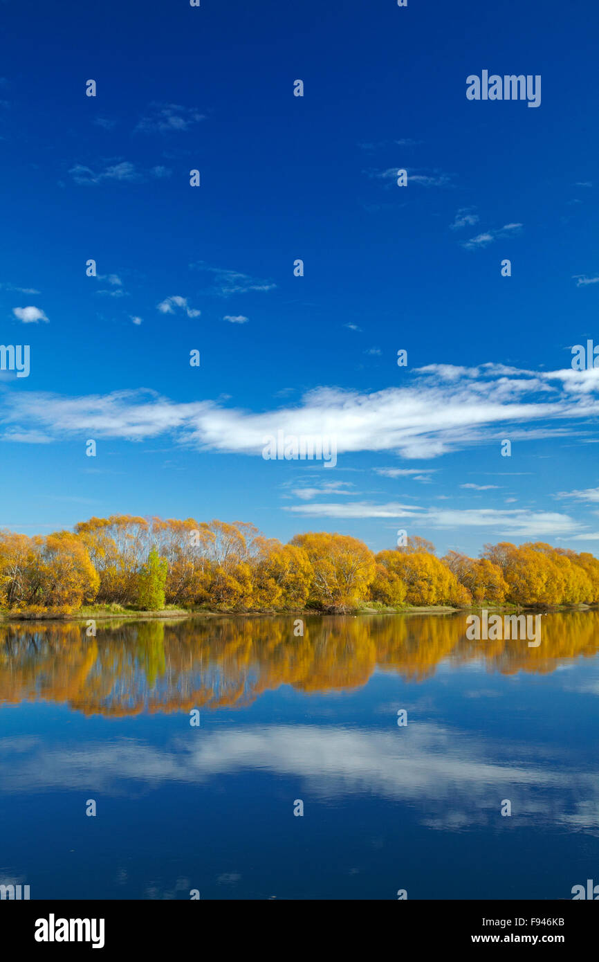 Autumn colour and Clutha River at Kaitangata, near Balclutha, South Otago, South Island, New Zealand Stock Photo