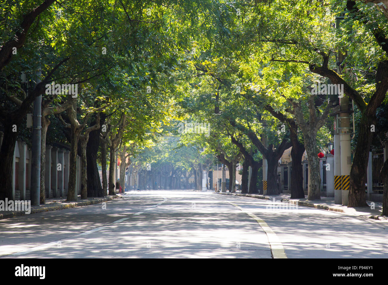 Empty street in sunlight in the french concession in China Stock Photo