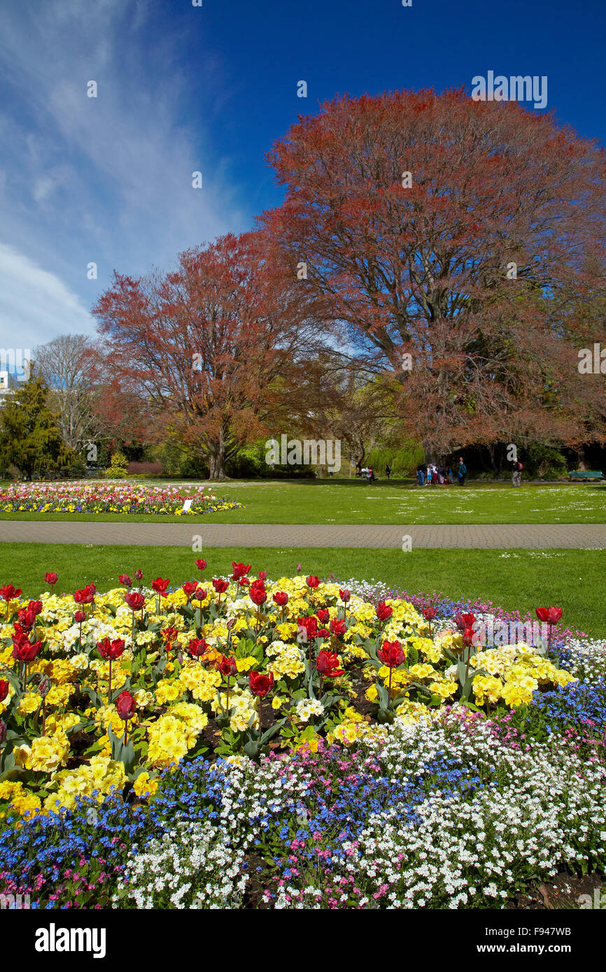 Flower bed, Botanic Gardens, Hagley Park, Christchurch, Canterbury, South Island, New Zealand