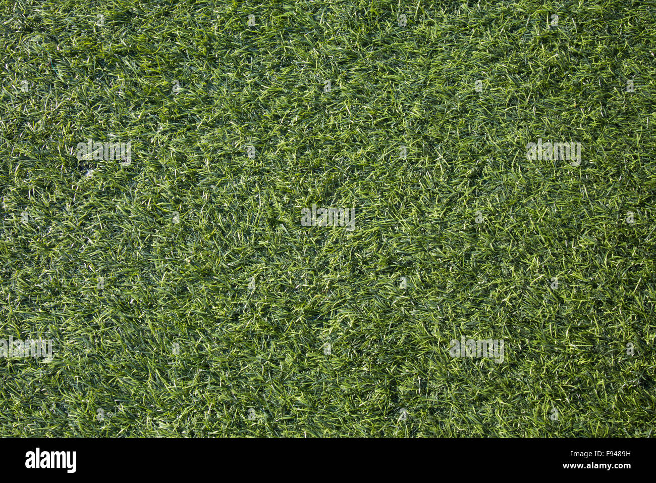 Artificial green grass background texture in sunlight Stock Photo