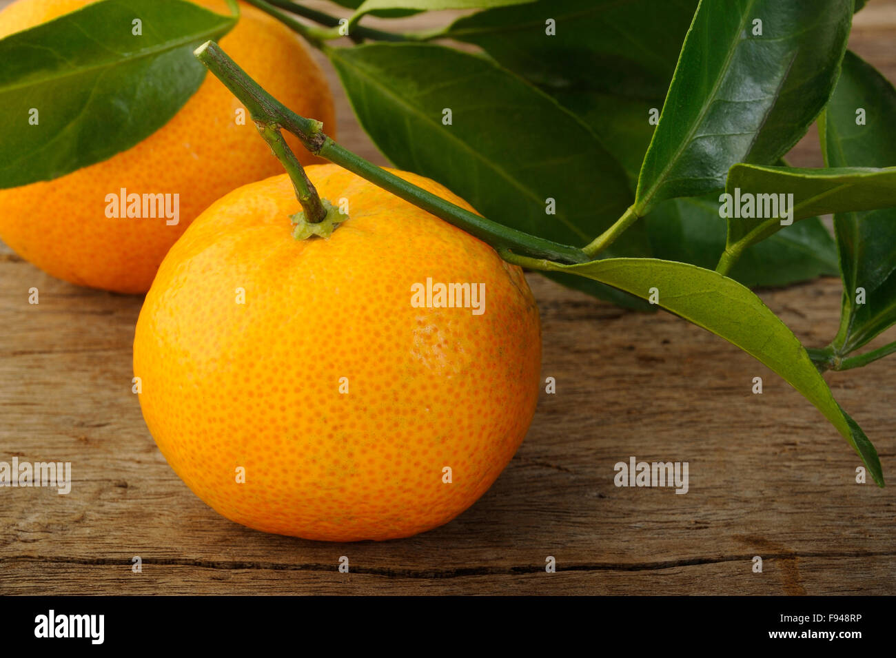 Ripe Mandarin fruit Stock Photo