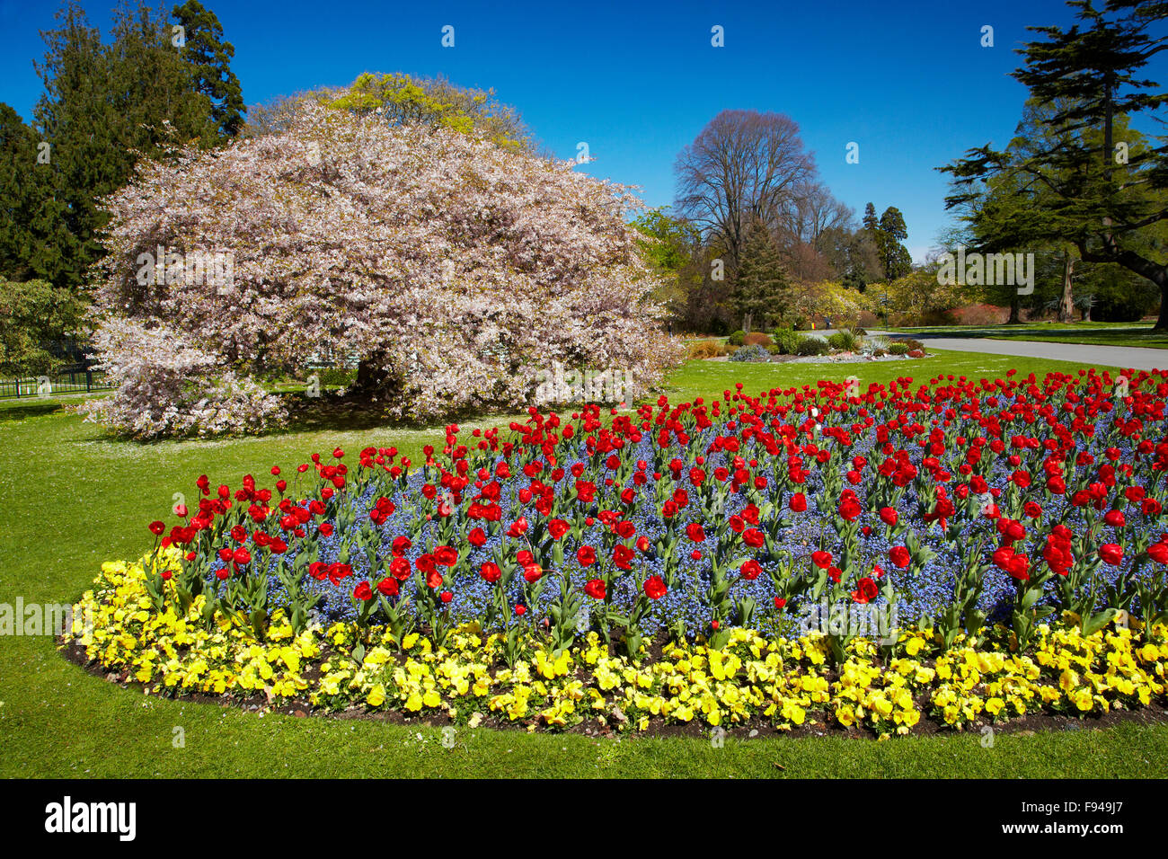 Christchurch botanical gardens canterbury garden gardens flowers hires