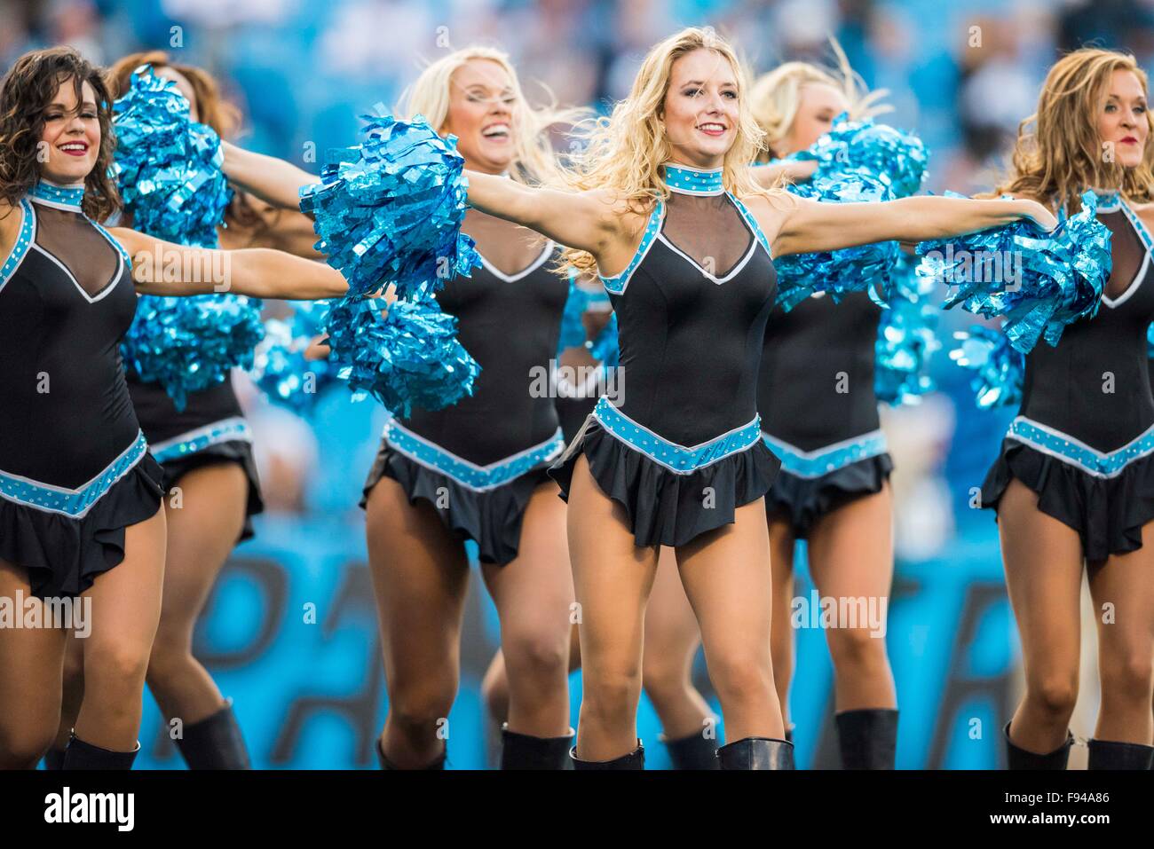 Charlotte, Carolina del Norte, EE.UU. 13 de diciembre de 2015. Las Panteras  de Carolina Topcats cheerleaders durante el juego de fútbol americano de la  NFL entre los Atlanta Falcons y Carolina Panthers