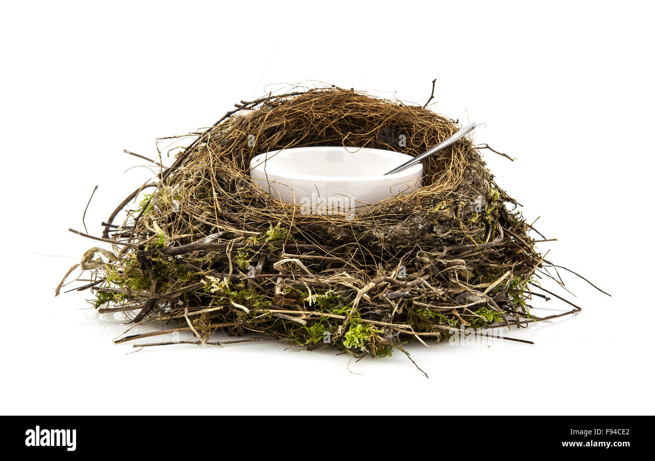 Birds nest soup with soup bowl and spoon on white background Stock Photo Alamy