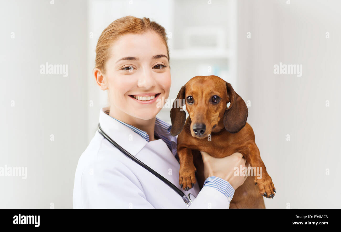 happy doctor with dog at vet clinic Stock Photo