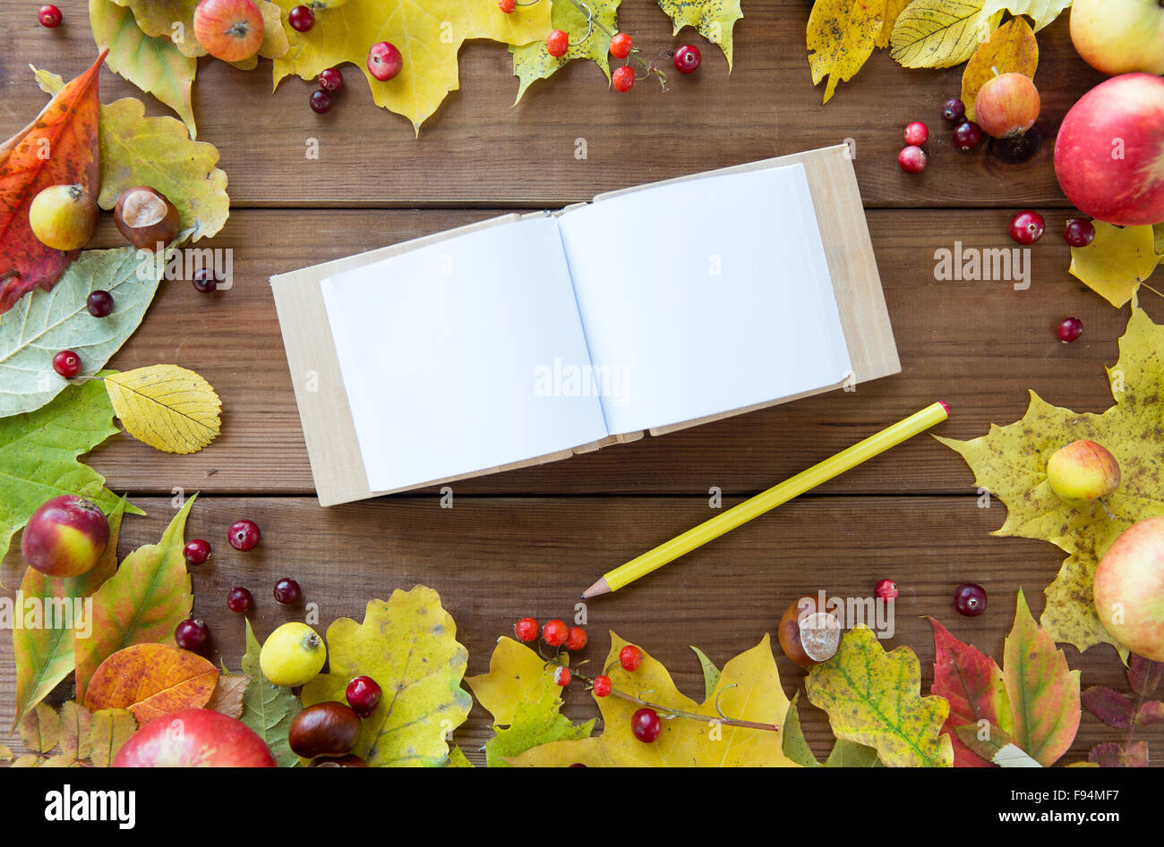 empty note book with pencil and autumn leaves Stock Photo