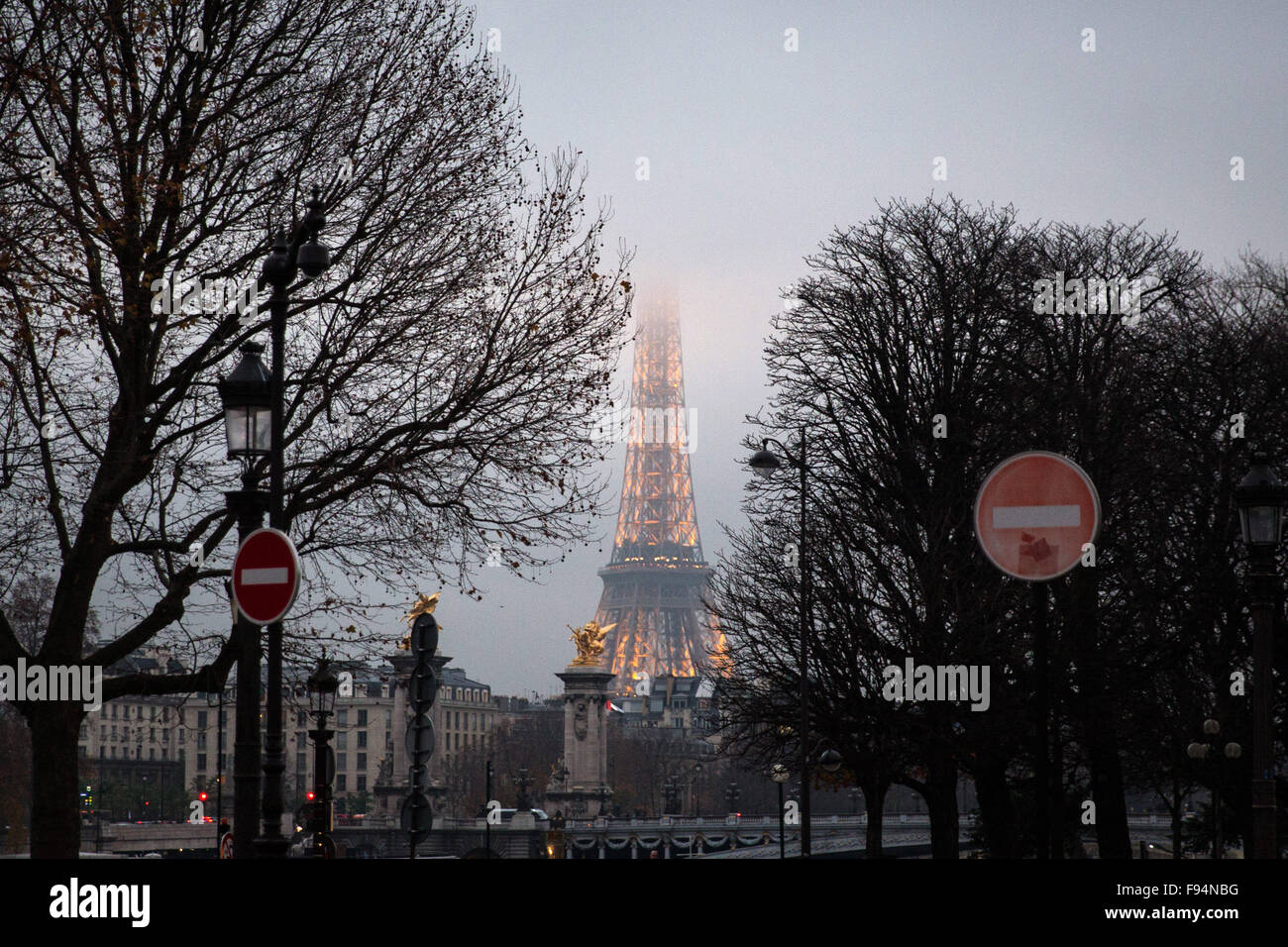 Paris, France. 13th Dec, 2015. The illuminated Eiffel Tower can be seen between trees on the Place de la Concorde in Paris, France, 13 December 2015. Photo: CHRISTIAN CHARISIUS/dpa/Alamy Live News Stock Photo