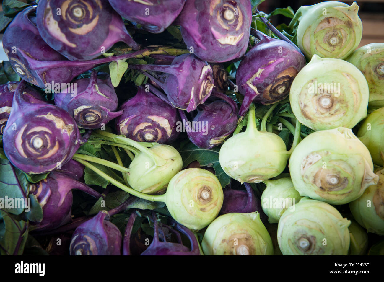 Green and purple fresh raw celeriac heap Stock Photo