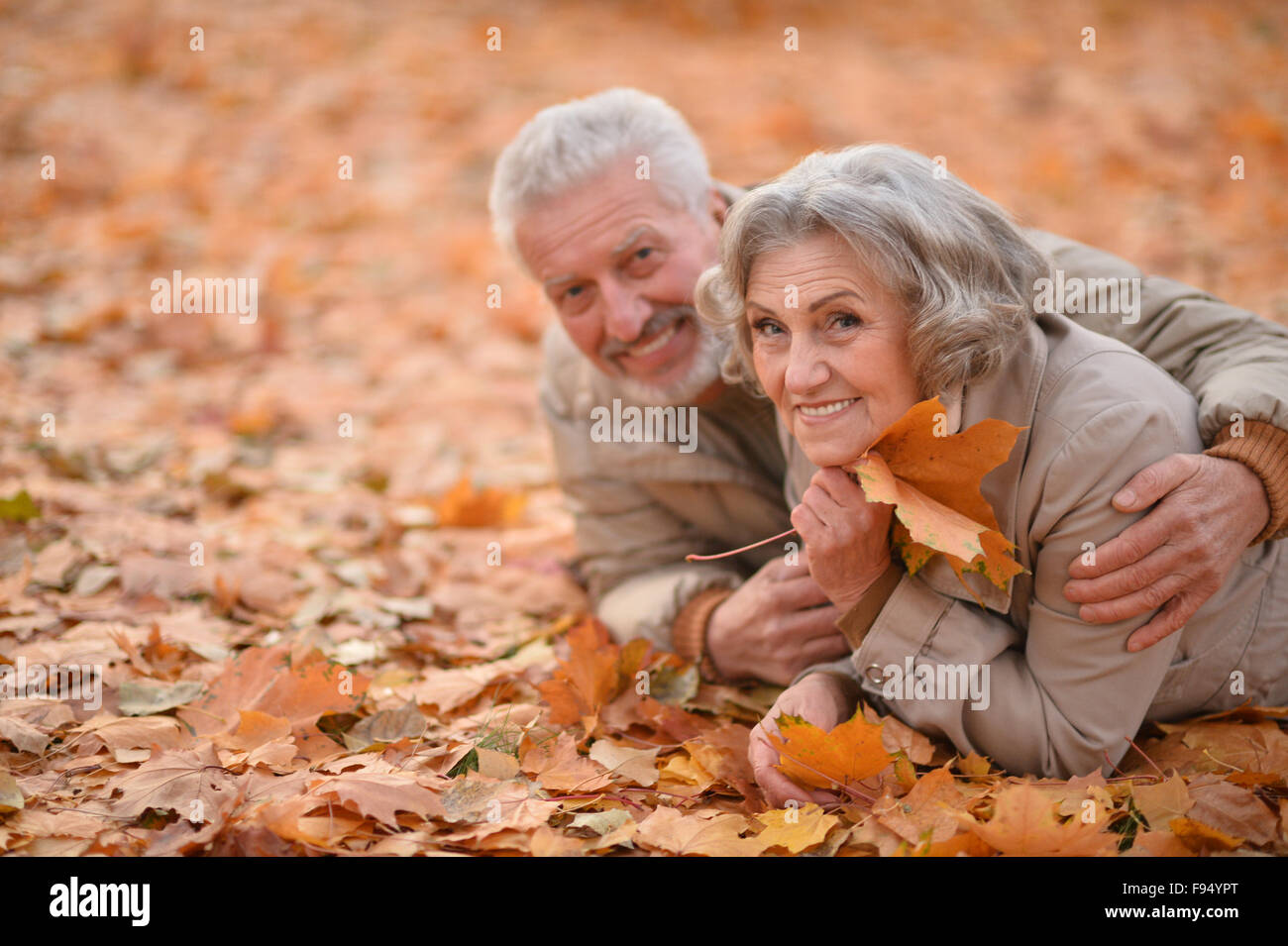 Senior couple in autumn park Stock Photo - Alamy