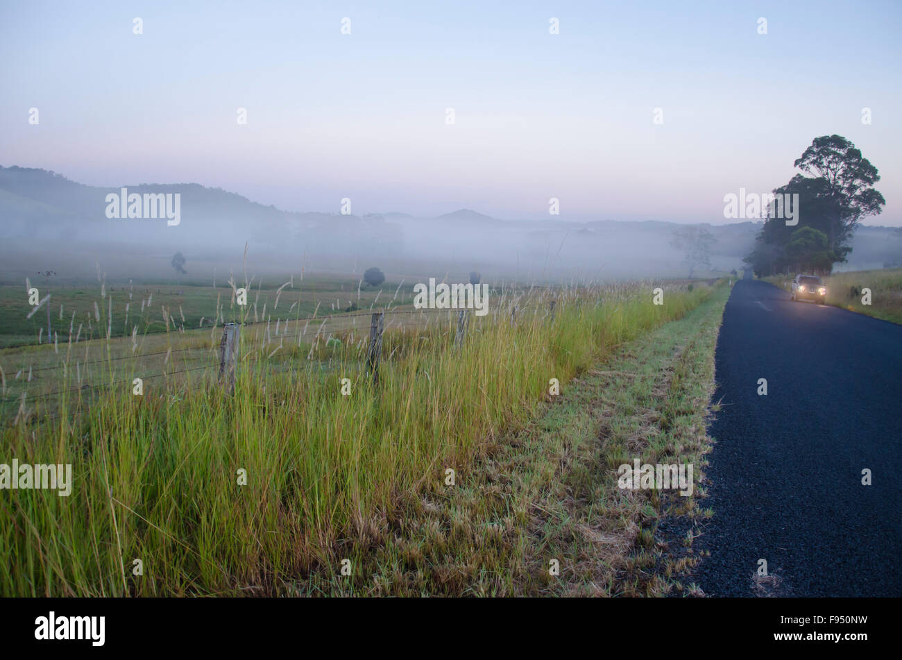 A car with headlights on driving down a misty foggy road in early ...