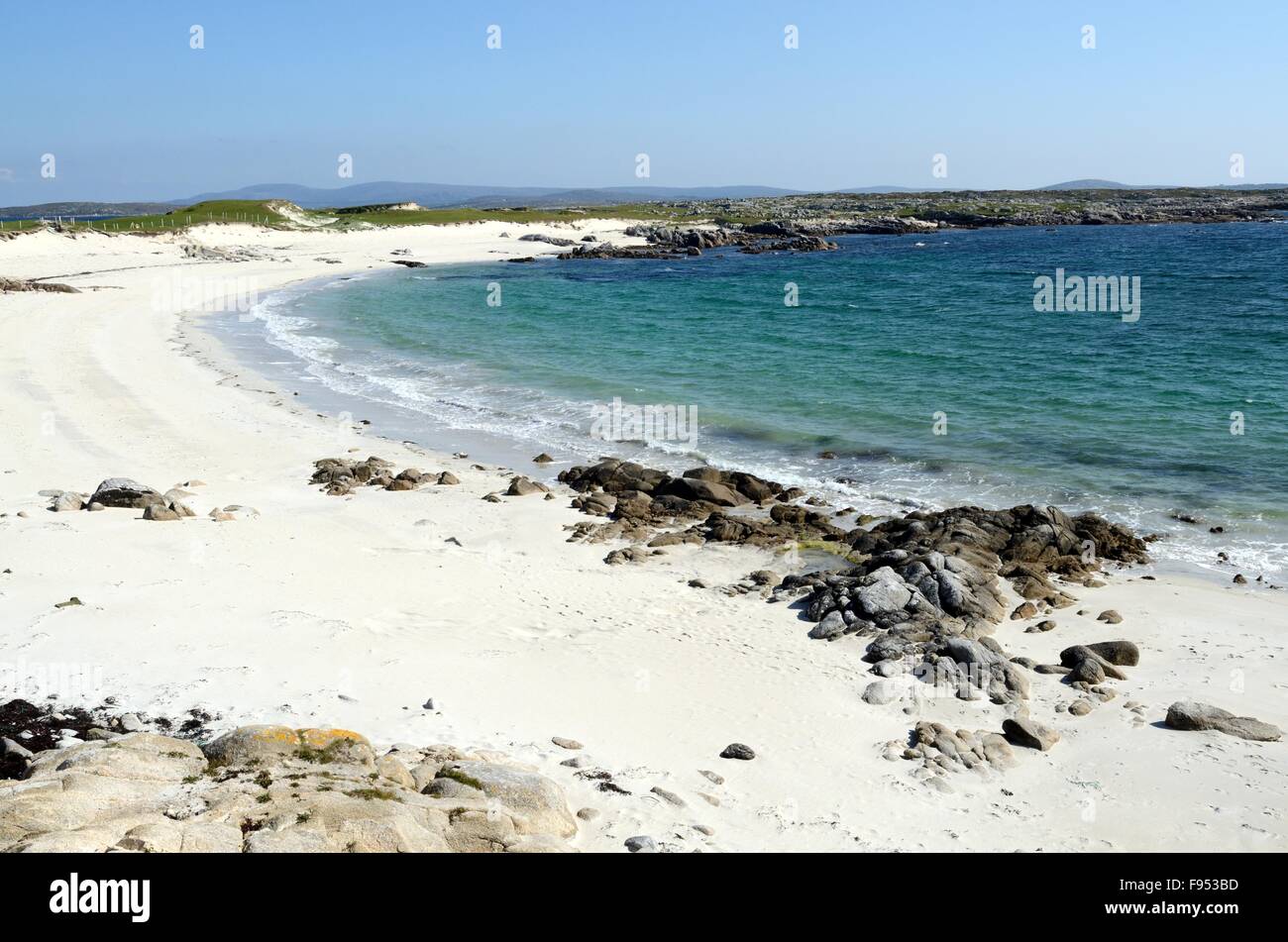 White sandy beach dogs Bay Roundstone Connemara County Galway Ireand