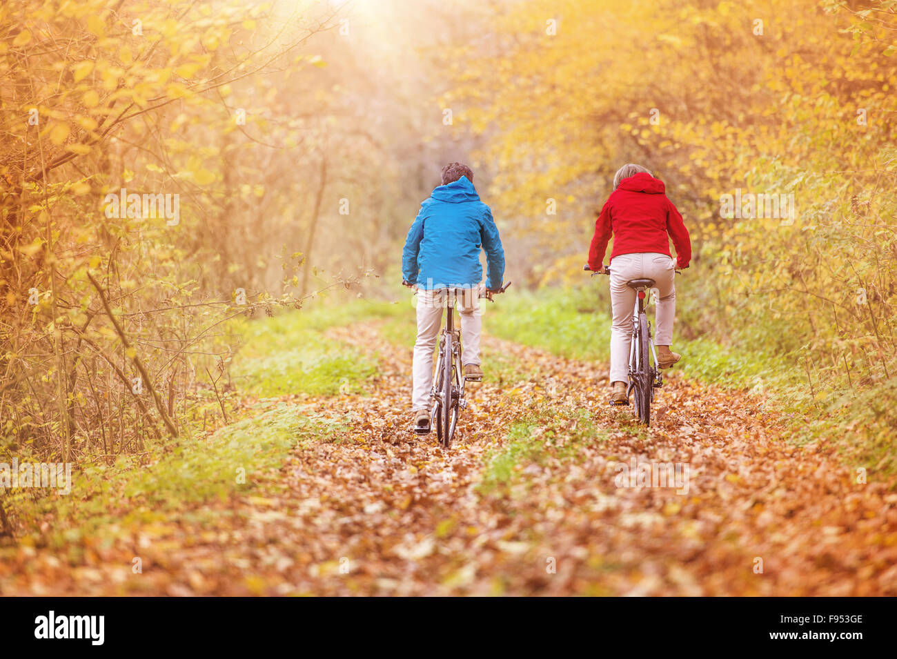 Active seniors riding bike in autumn nature. They relax outdoor. Stock Photo