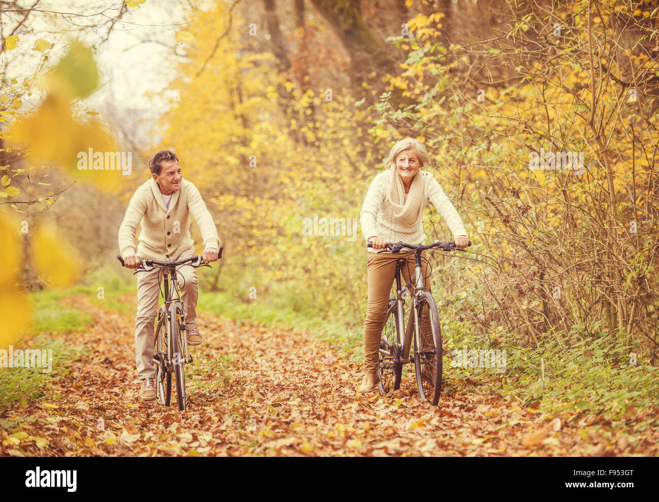 bike riding for seniors