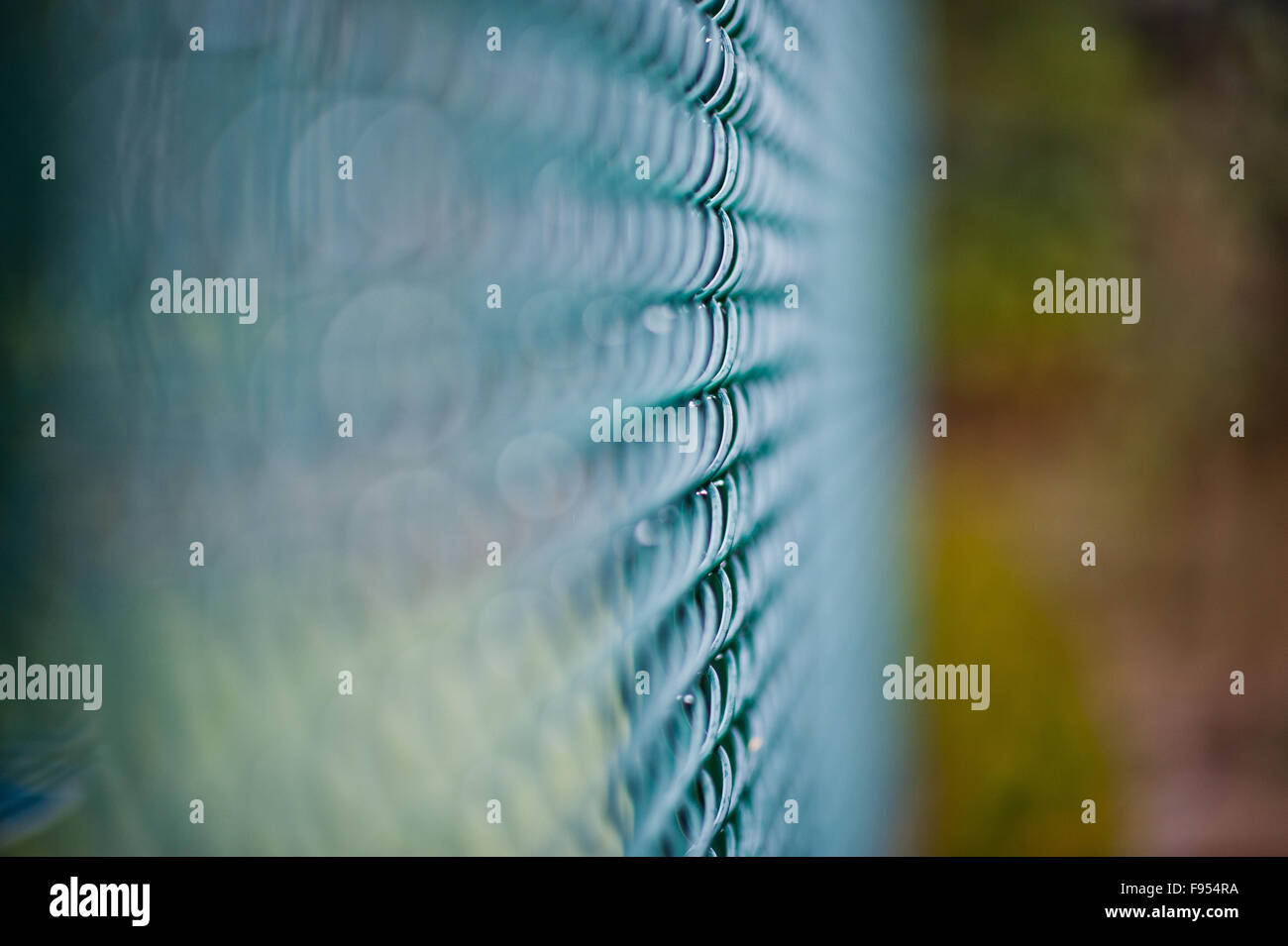 Closeup of green wire mesh fence with selective focus Stock Photo - Alamy