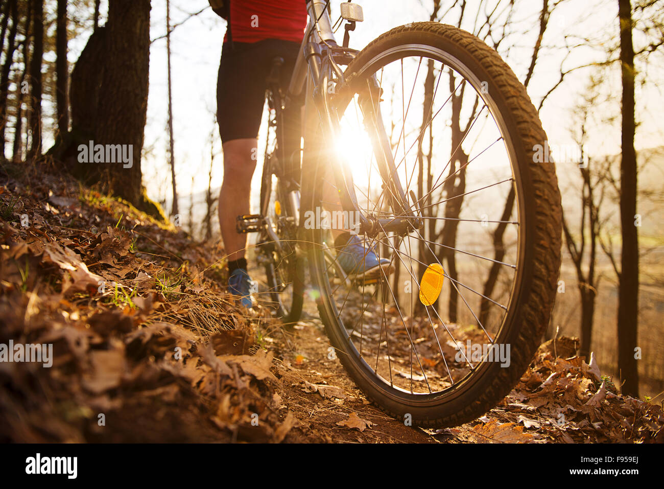 Closeup of cyclist man legs riding mountain bike on outdoor trail in autumn forest Stock Photo