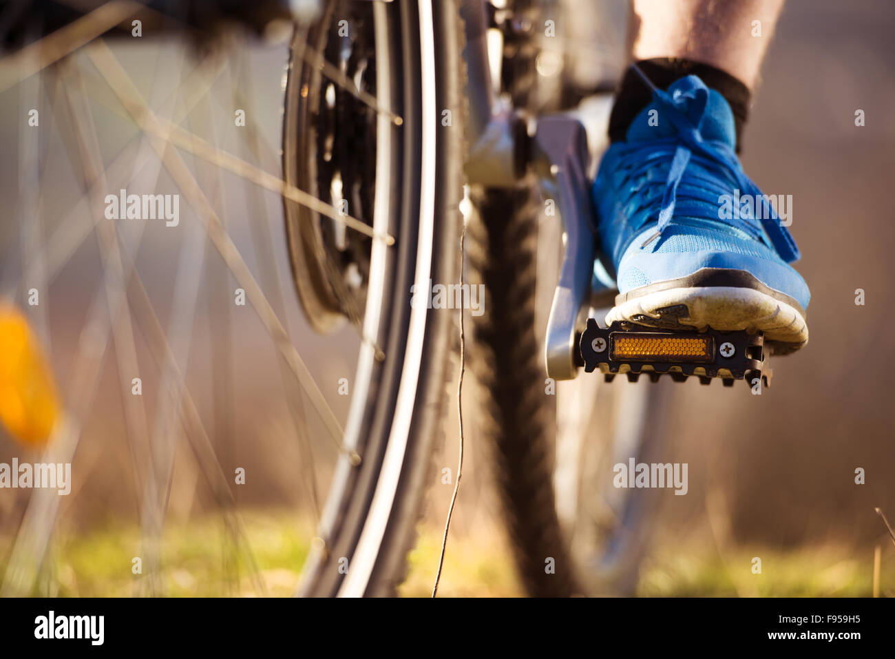 Closeup of cyclist man legs riding mountain bike on outdoor trail in nature Stock Photo