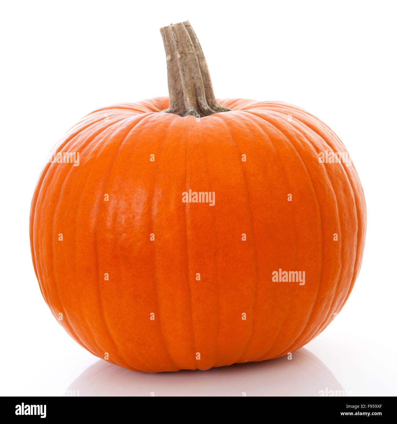 big orange pumpkin isolated on white background Stock Photo - Alamy